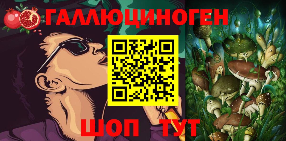 Псилоцибиновые грибы Psilocybine cubensis Верхняя Салда