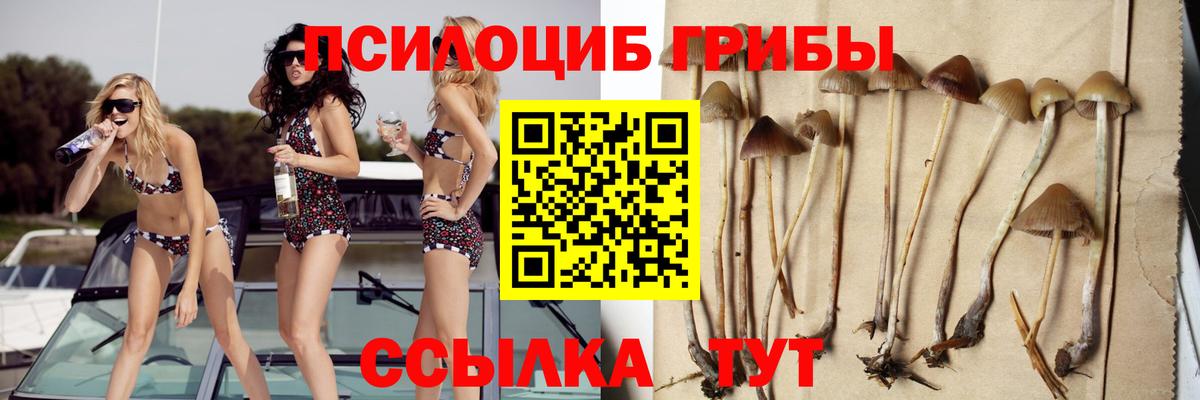 Верхняя Салда  Псилоцибиновые грибы мицелий  Вход с VPN 