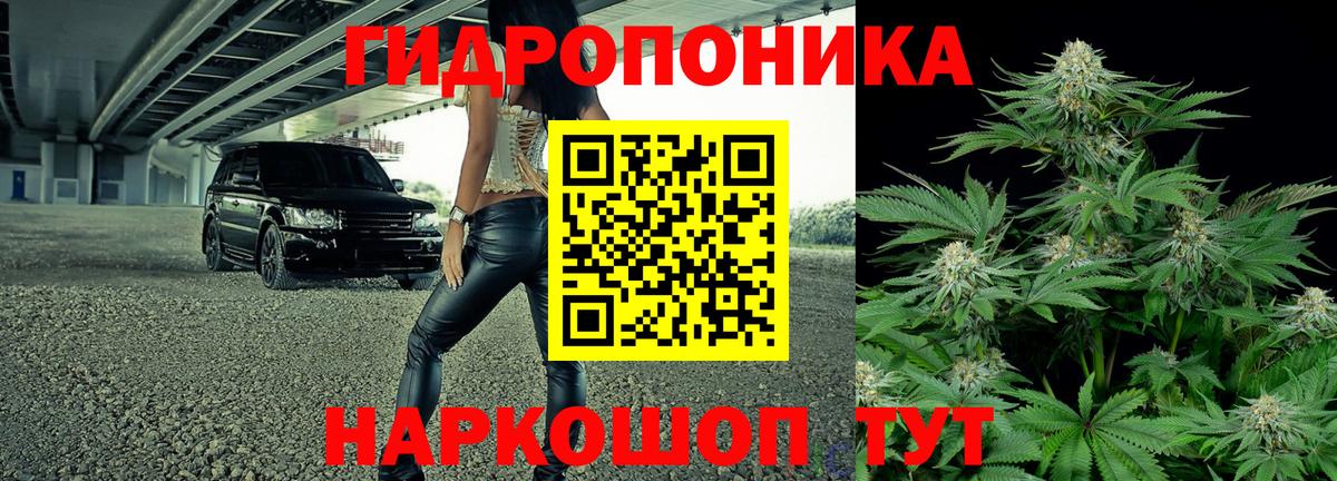 Конопля сатива  Вход с VPN  Марихуана OG Kush  Бошки марихуана SATIVA & INDICA  Верхняя Салда  Канабис White Widow 
